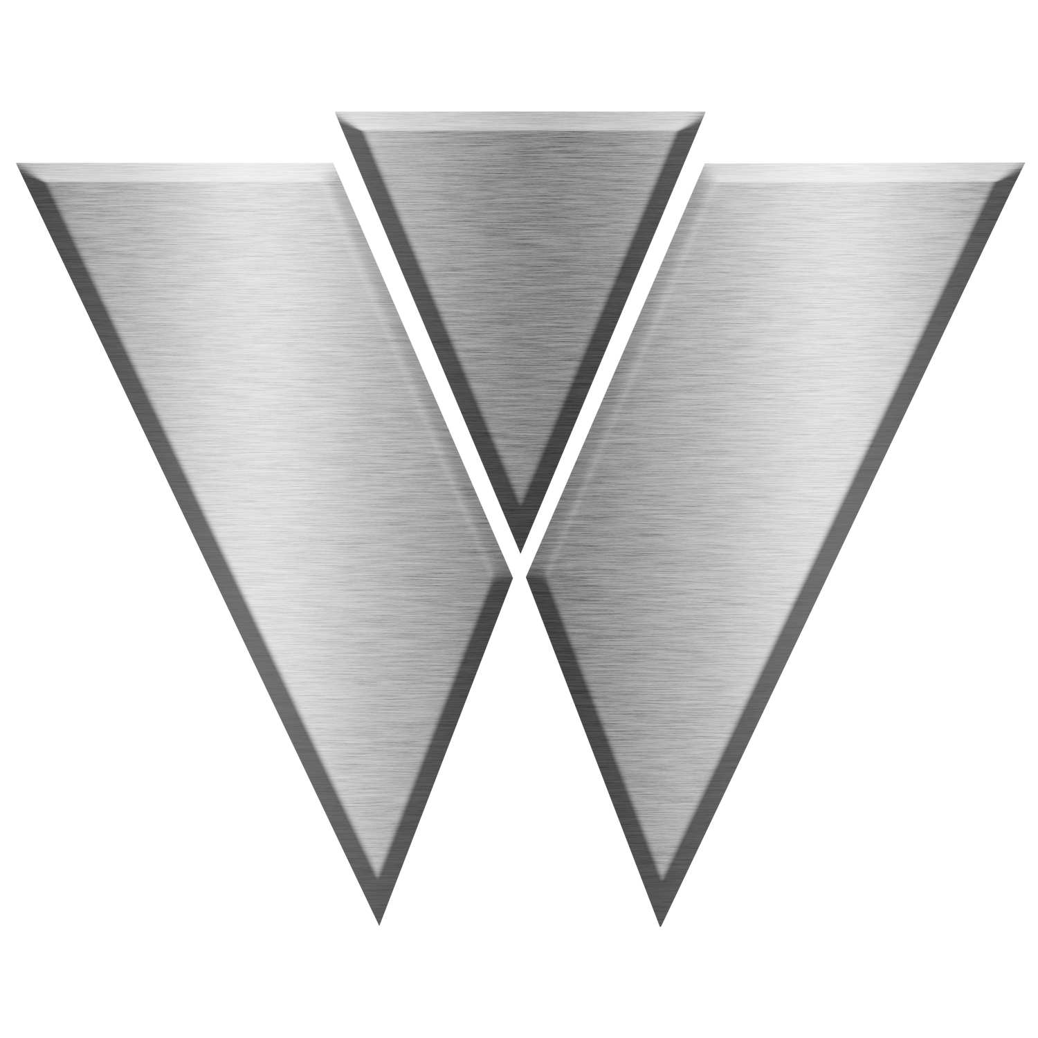 Wasted Potential Skateboards